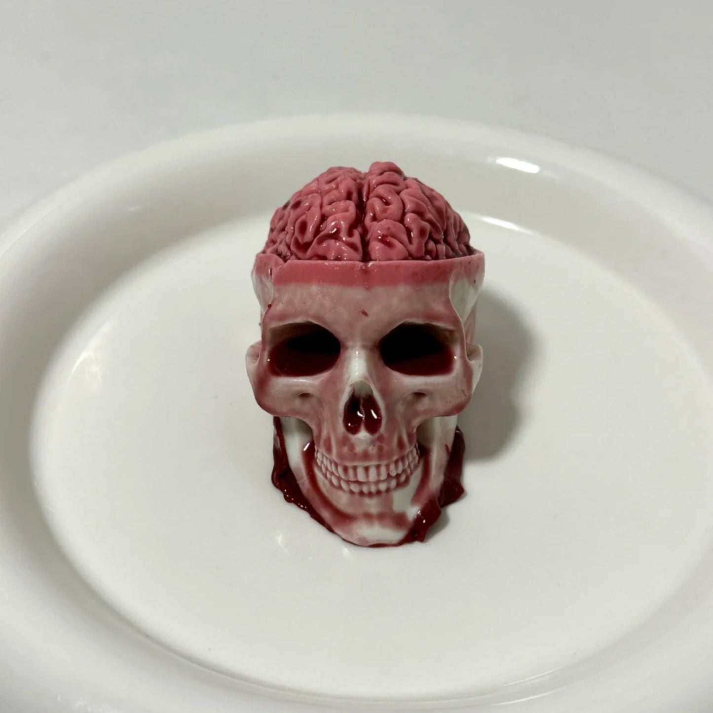 Super Realistic Skull Brain