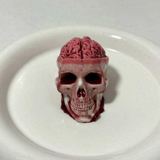 Super Realistic Skull Brain
